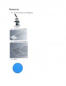 Laminillas preparadas