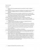 Practica de densidad - Cuestionario