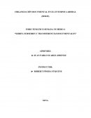 ORGANIZACIÓN DOCUMENTAL EN EL ENTORNO LABORAL