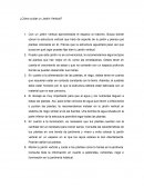 ¿Cómo cuidar un Jardín Vertical?