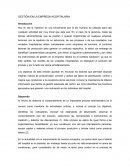 Gestión de la empresa hospitalaria