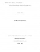 EXPLOTACIÓN PETROLERA PROBLEMÁTICA AMBIENTAL