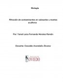 Filtración de contaminantes en subsuelos y mantos acuíferos