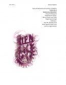 Practica - Síntesis de p-nitroanilina