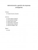 Administración y gestión de empresas emergentes