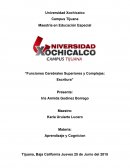 Funciones cerebrales superiores y complejas: Escritura