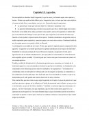 Capítulo sobre la Agresión