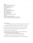 Primer parcial dip ubp