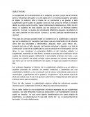 Subjetividad - Ensayo
