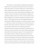 PREVENCION DE LA CONTAMINACION Y OPTIMIZACION DE PROCESOS