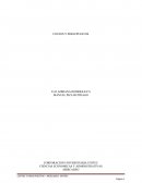 COSTOS NATURALEZA CALEIDOSCOPICA DE LOS COSTOS