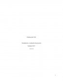 Cálculos del VAN - Formulación y evaluación de proyectos