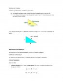 TEOREMA DE PITAGORA Tarea