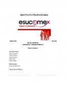 Creacion de empresa - “Motel Temático”