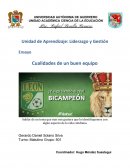 Ensayo - Cualidades de un buen equipo