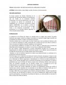 EVOLUCION Y HECHOS RELEVANTES DEL MERCADO DE VALORES