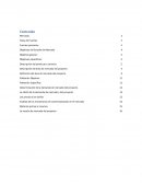 Estudio de Mercado. Determinación de la demanda de mercado del proyecto