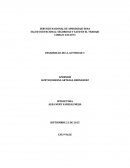 DESARROLLO DE LA ACTIVIDAD 3