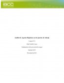 Análisis de Agentes Higiénicos en los puestos de trabajo Trabajador agrícola