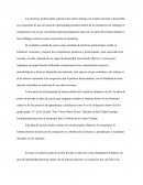 Las prácticas profesionales