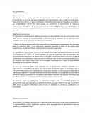 Etica profesional - Campo de Acción