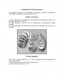 Composición de las Exportaciones