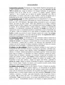 Los guaranies en la región del Caribe