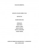 Educacion ambiental colegio Gabriel Plaza