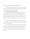 ENSAYO DE TEORÍA DE CONDUCTISMO Y NEOCONDUCTISMO