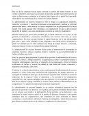 La Gestión del talento humano.