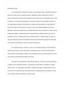El concepto de guías o normas