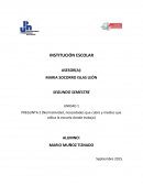 Normatividad, necesidades que cubre y medios que utiliza la escuela donde trabajo)