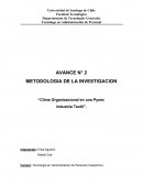 Marco Organizacional de una Pyme