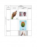 Resumen caso Coca-Cola