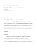 Ensayo : El peor problema y al mismo tiempo la mejor solucion