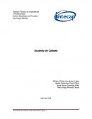 Acuerdo de calidad. Luces Mágicas S.A