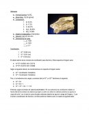 Trabajo Mineralogía. - Silimanita