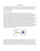 Sistema Nervioso Correcion