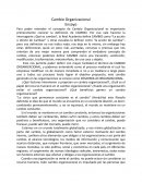 Ensayo "Cambio Organizacional"