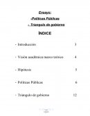 Ensayo - Políticas Públicas