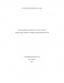 DISEÑO Y FORMULACION DE PROYECTOS