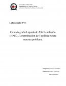 Laboratorio Química Analítica e Instrumental