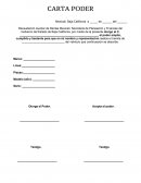 Ejemplo de una Carta poder