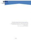 PROBABILIDAD INVESTIGACIÓN INDIVIDUAL.