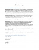 Metodologia - Guía de Metodología