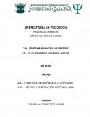 EXPRESIÓN DE SINÓNIMOS Y ANTÓNIMOS