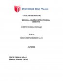 CONSTITUCIONAL PERUANO DERECHOS FUNDAMENTALES