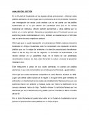 Análisis del sector: ugares donde promocionen u ofrezcan platillos alemanes