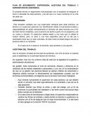 PLAN DE SEGUIMIENTO, SUPERVISIÓN, AUDITORIA DEL TRABAJO Y SUPERVICIÓN DE ASISTENCIA.