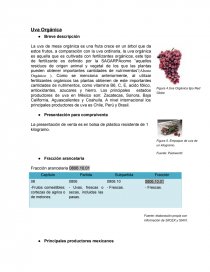 La uva orgánica. Página 1